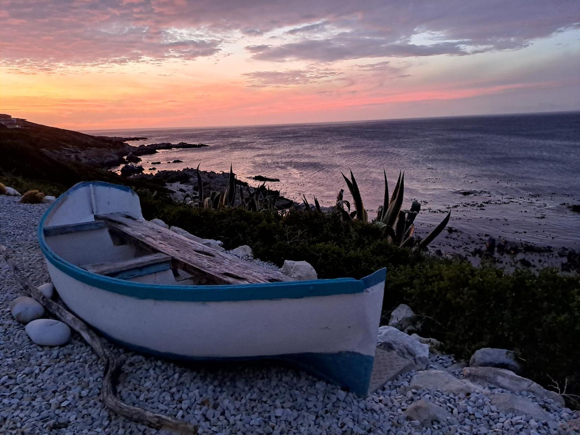 Kleinzee Oceanfront Guesthouse Gansbaai Exterior foto